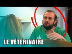 "C'est vraiment une belle chatte", François Damiens, un véto ICONIQUE !