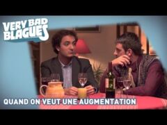 Quand on veut une augmentation - Palmashow