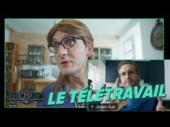 Le Télétravail - Palmashow